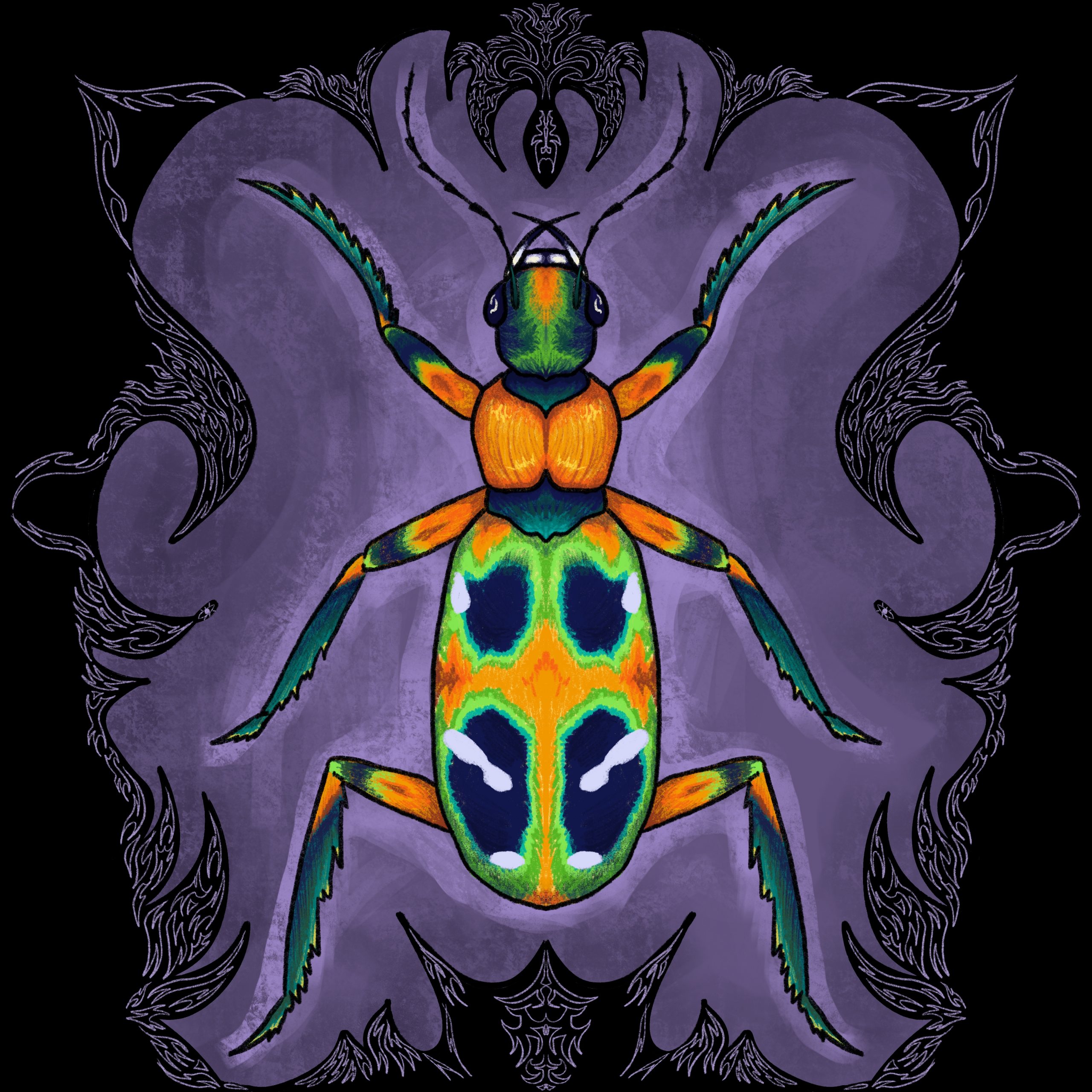 Colorful Beetle