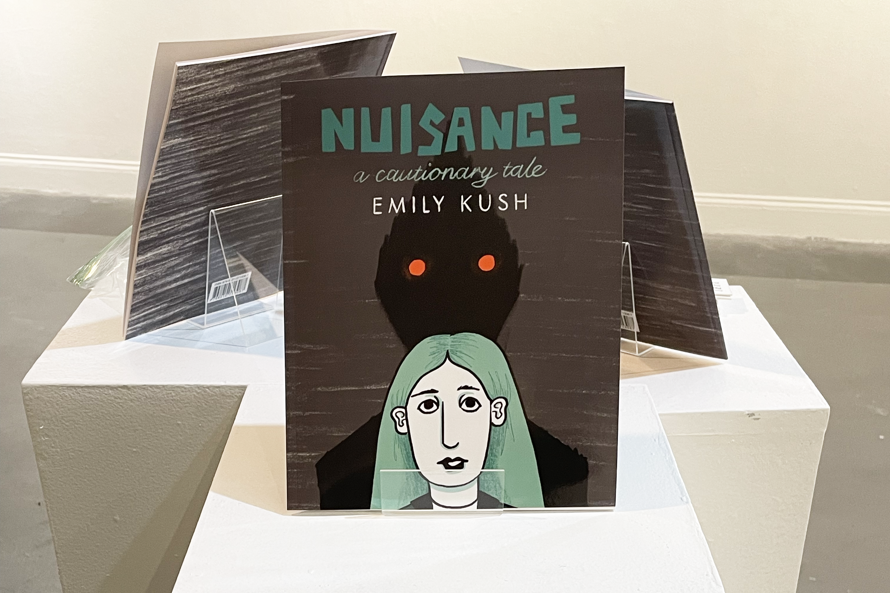 Nuisance: a cautionary tale